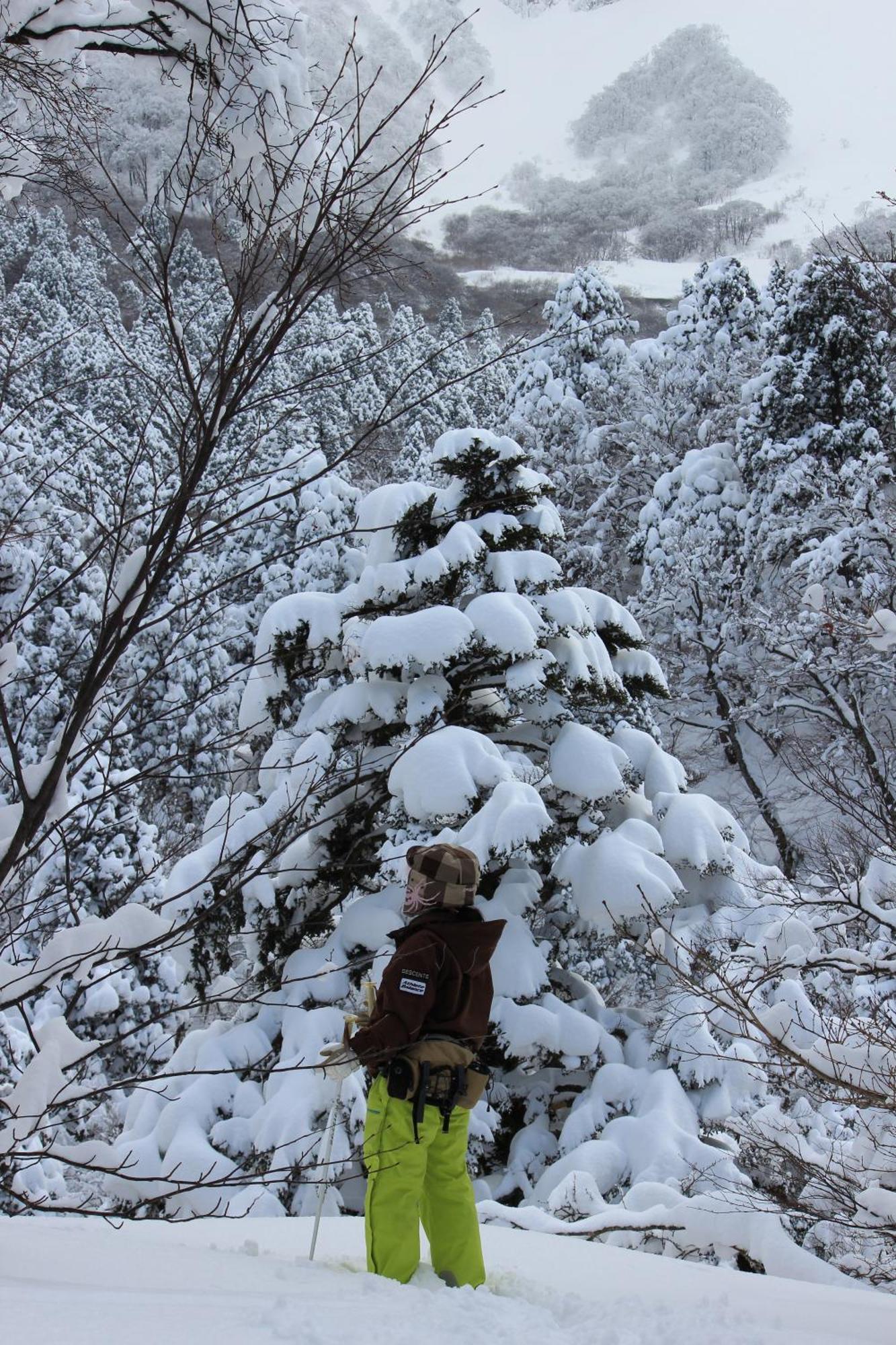 Shukubo Kansho-In Temple Sanrakuso Daisen  ภายนอก รูปภาพ
