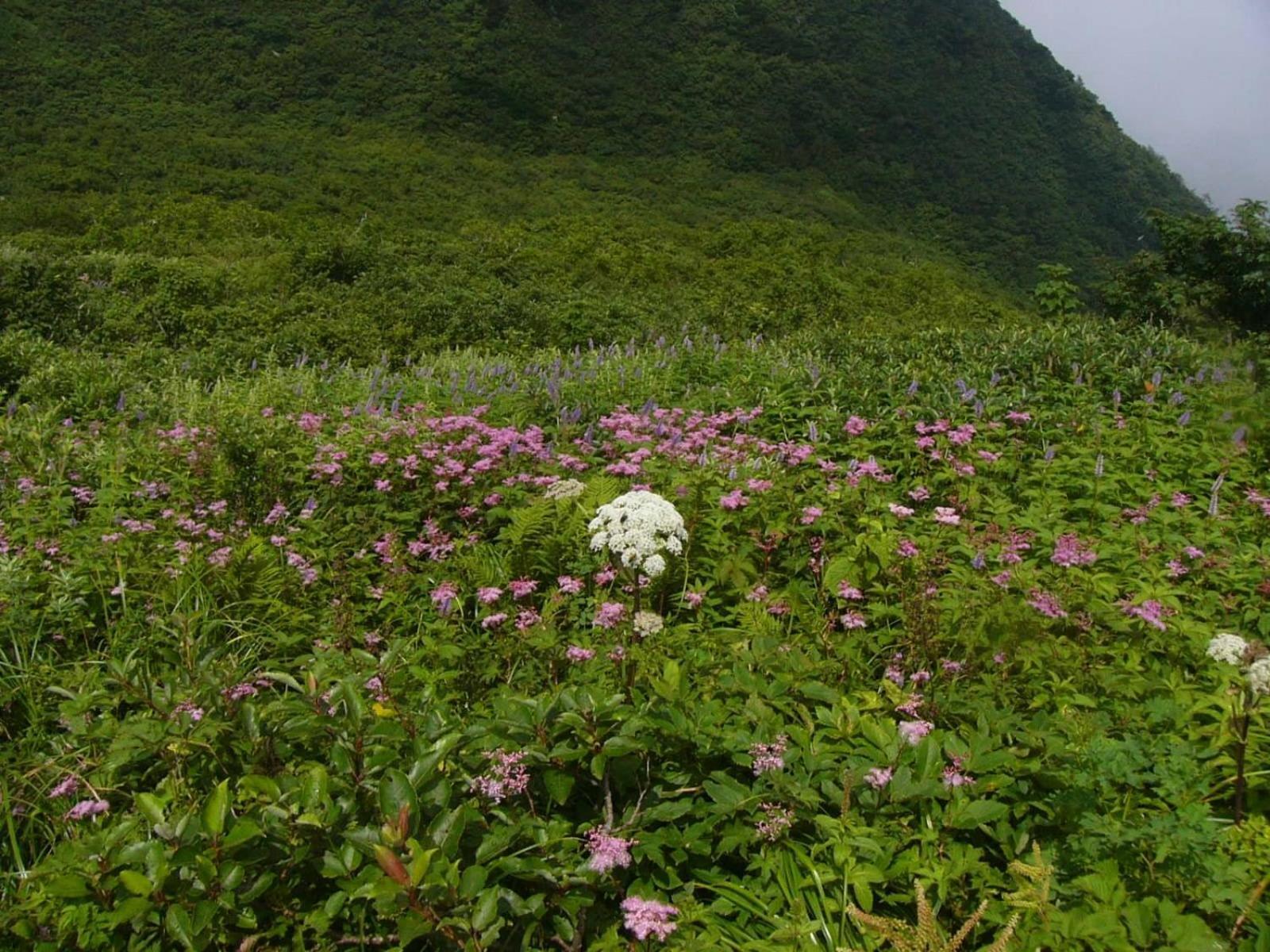 Shukubo Kansho-In Temple Sanrakuso Daisen  ภายนอก รูปภาพ